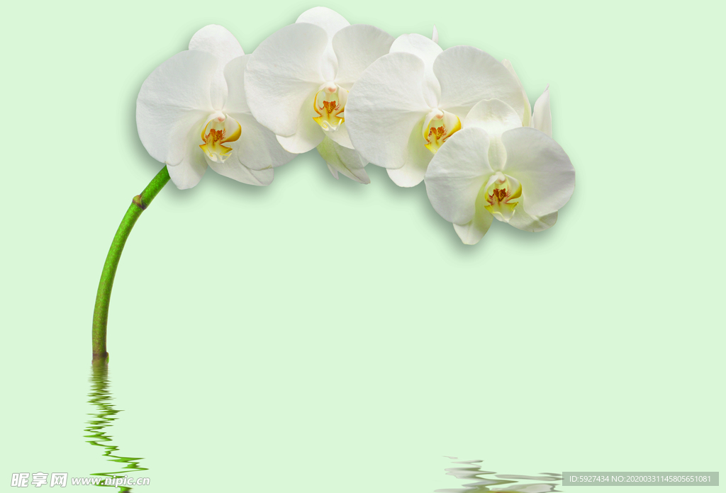 花