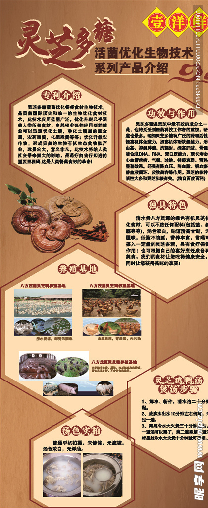 展架  x展架