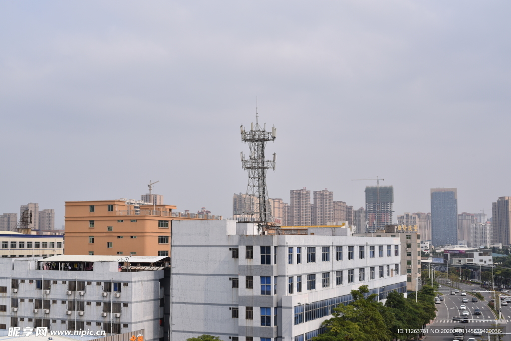 城市