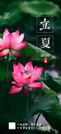立夏