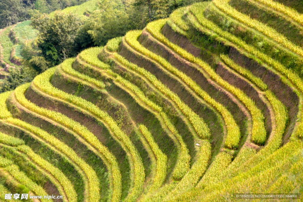 梯田风景图片