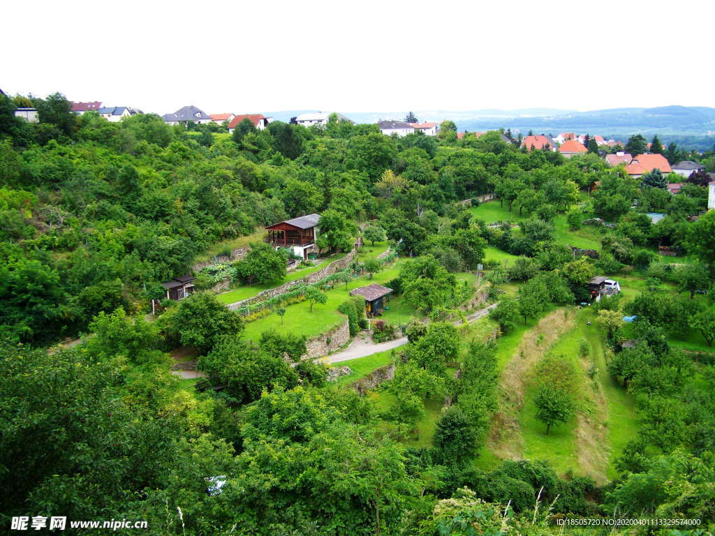 梯田风景图片