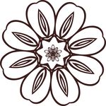 花卉图案