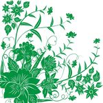 绿草