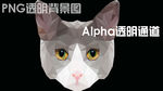 狗