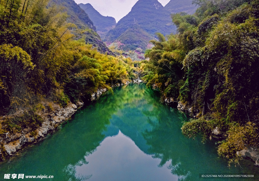 青山竹林倒影