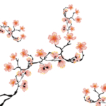 樱花创意绘画图案