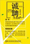 招聘  简洁  大气