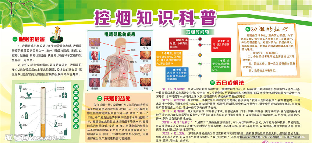 控烟知识科普