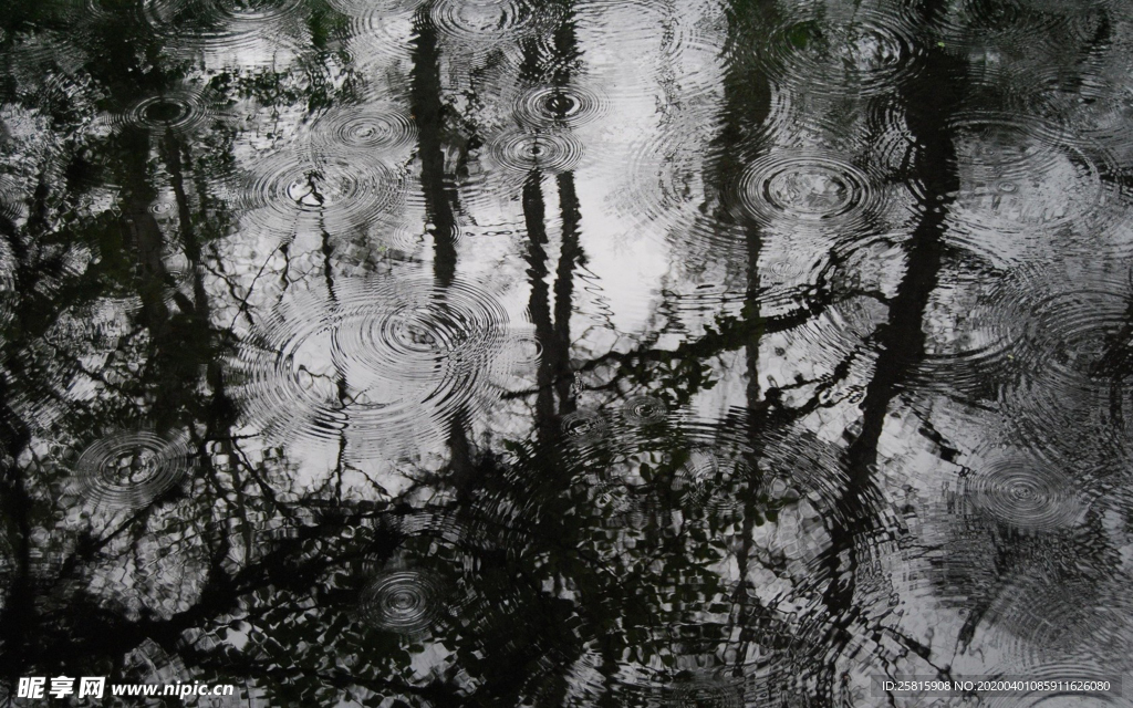 雨中美景图片