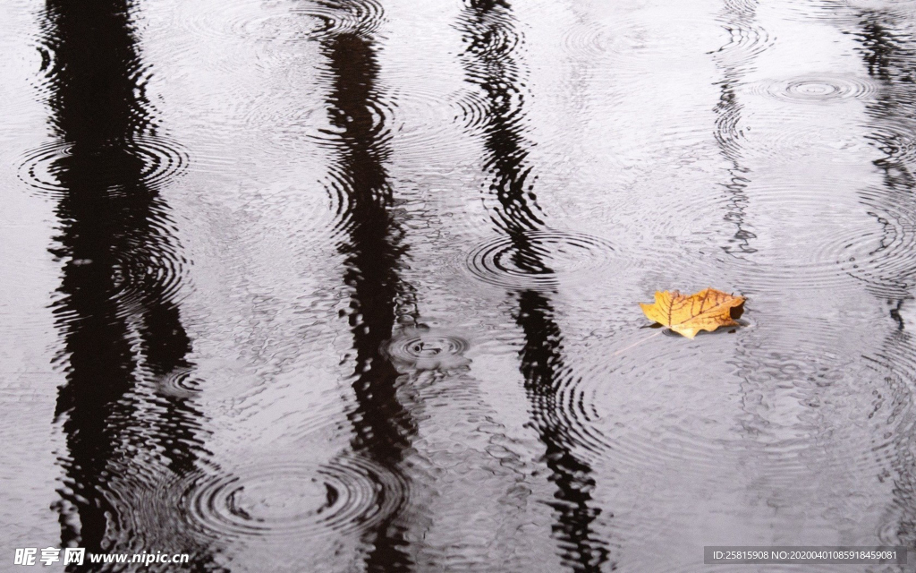 雨中美景图片