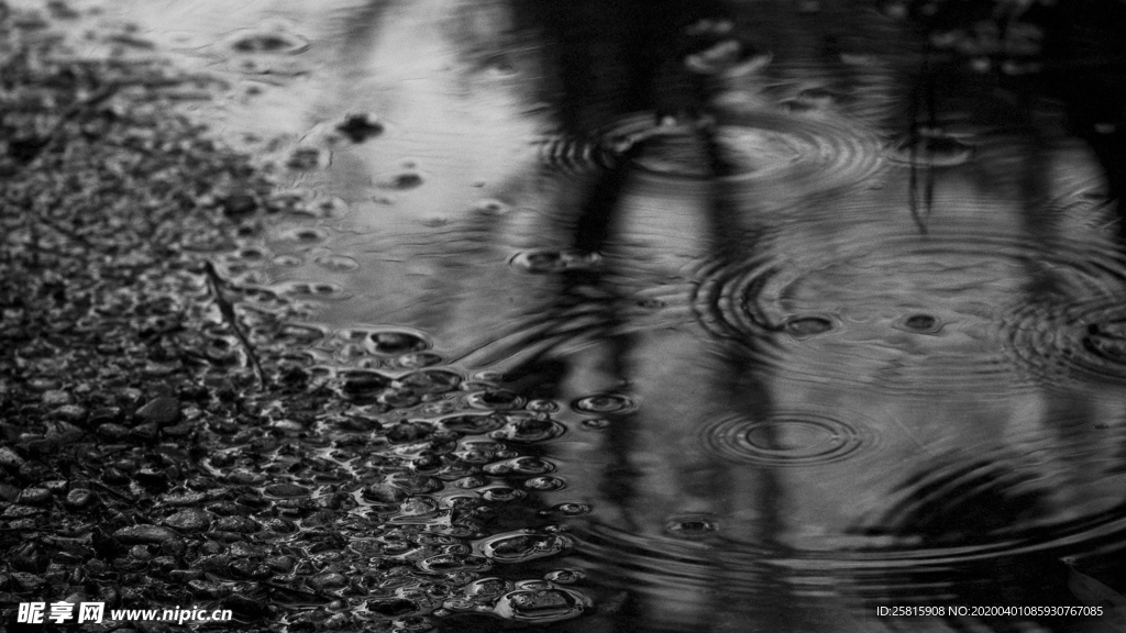 雨中美景图片