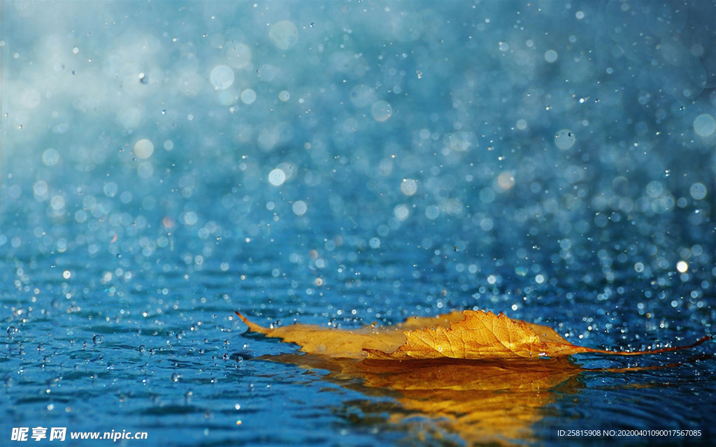 雨中美景图片