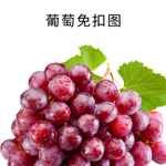 葡萄免扣素材
