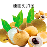 桂圆免扣素材图