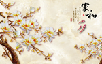 玉兰花开