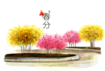 绿色背景