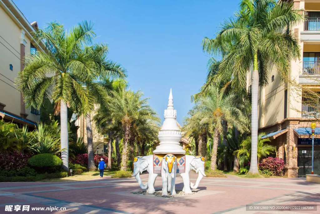 风景