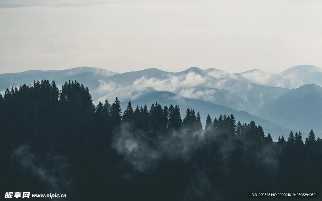 远山森林起雾