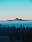 远山森林