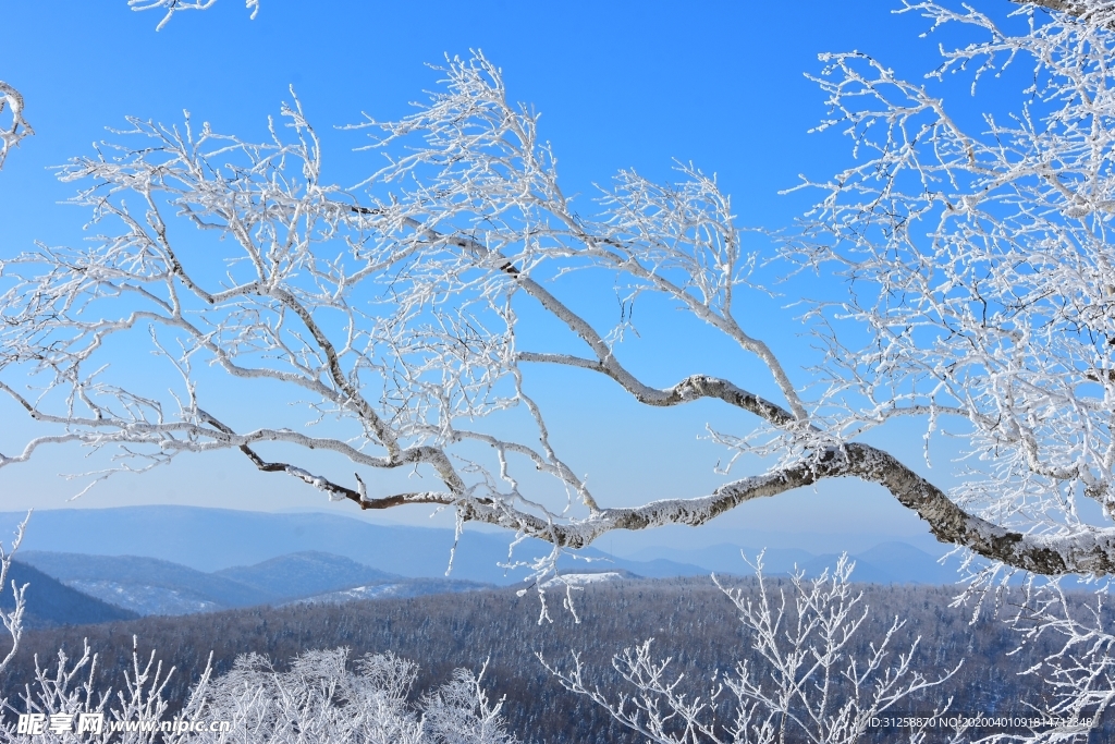 雪景图片