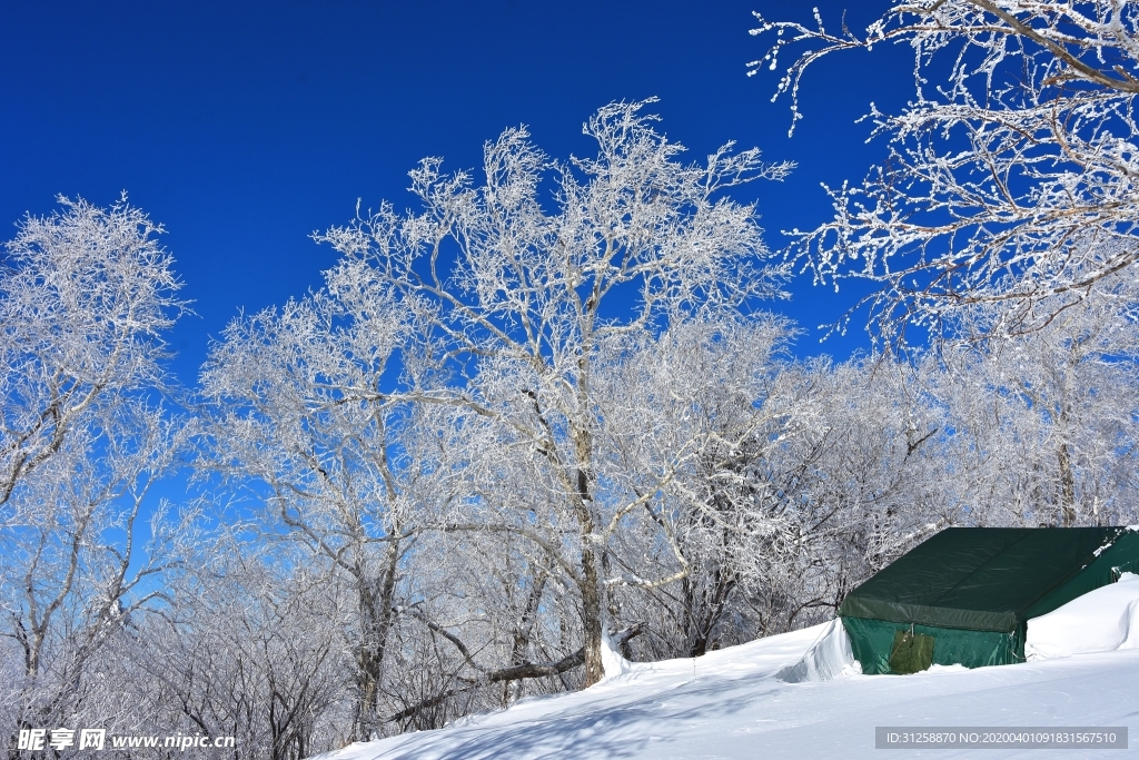 雪景 树挂