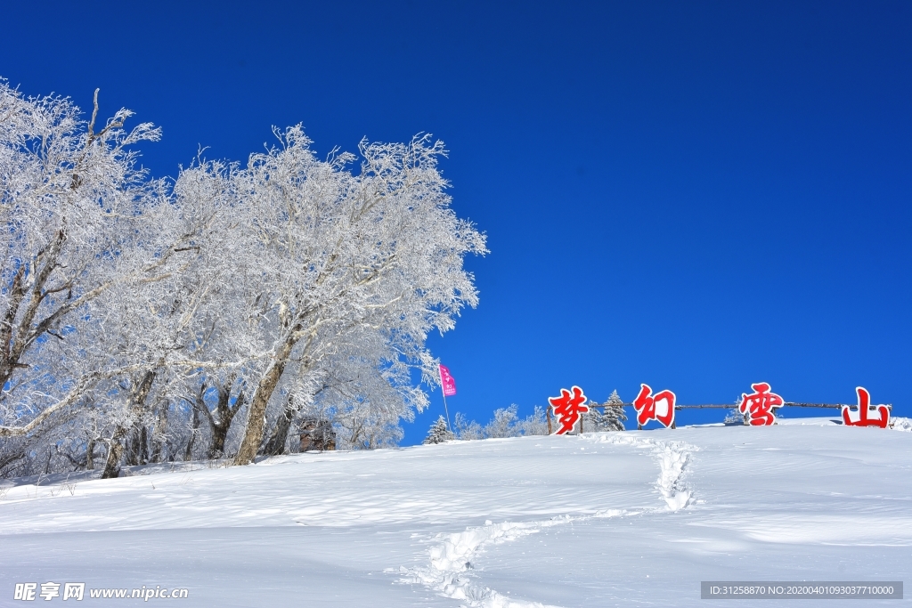 雪景 树挂