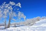 雪景图片