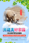 保护野生动植物