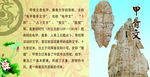 甲骨文简介