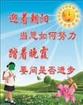 迎着朝阳