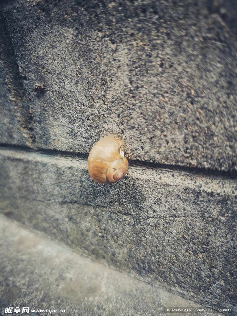 蜗牛