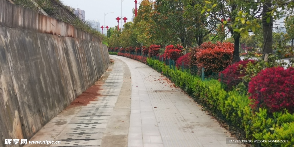 小路 林间小路  绿化带路