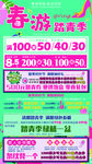 百货商场春天踏青活动宣传