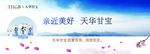 天华甘宝海报