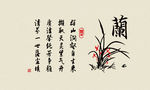 兰花