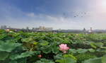 遂宁河东新区