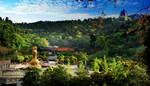 灵泉寺风景