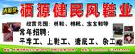 鞋厂广告