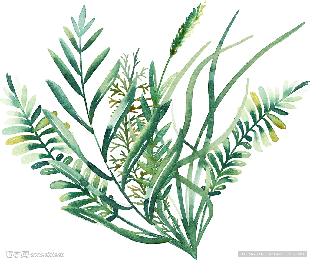 北欧小清新植物装饰