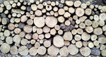 木头木材
