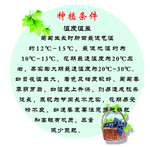 葡萄种植条件
