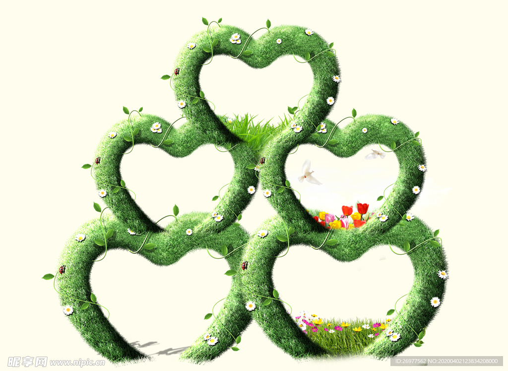 绿色 树叶 心形 春天