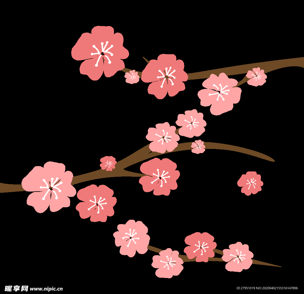 樱花 粉色 樱花插图 背景图