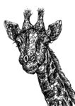 插画长颈鹿