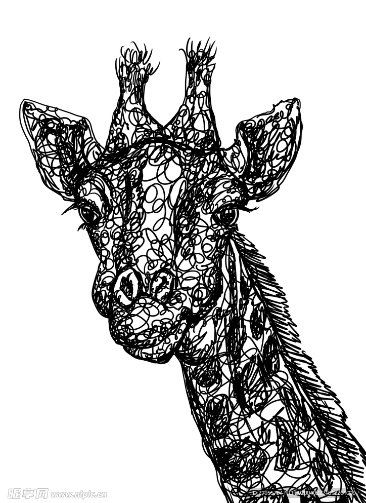 插画长颈鹿