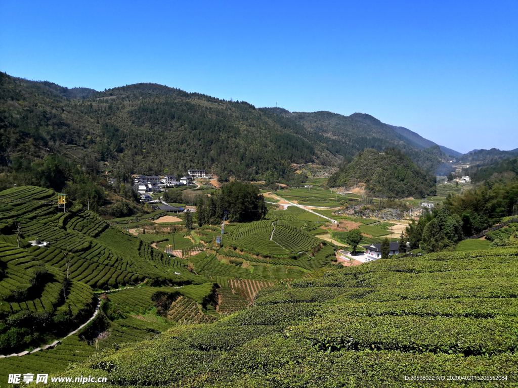 茶山风景