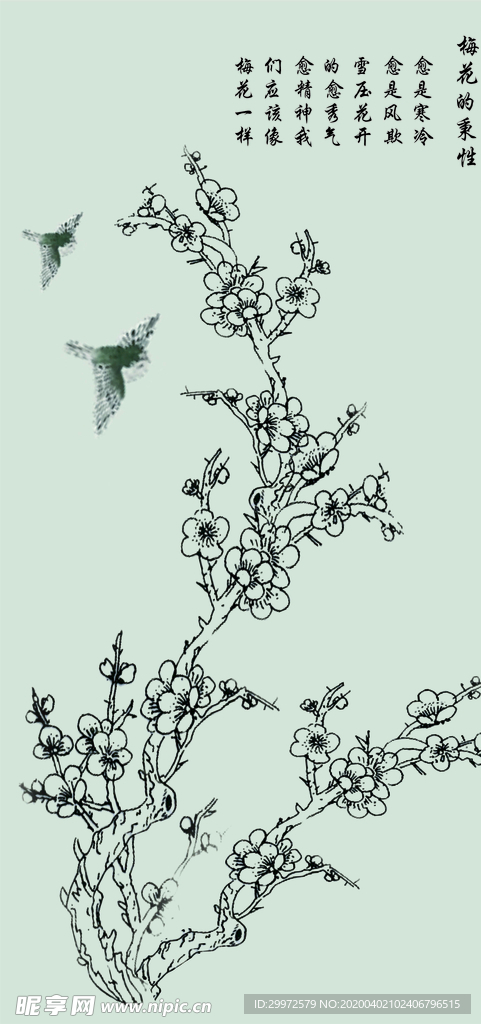 梅花