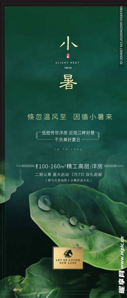 节气海报  小暑