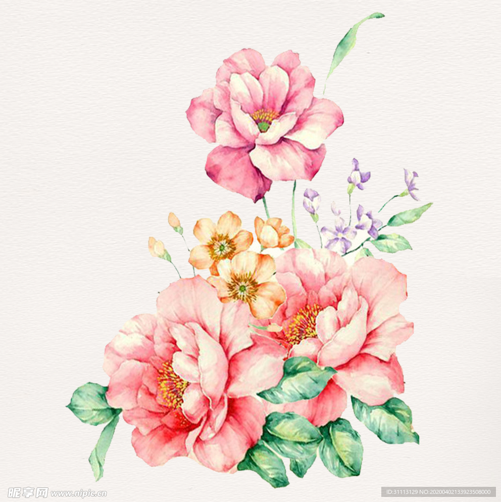 手绘花朵